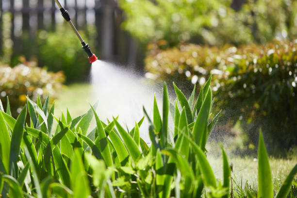 24/7 Emergency Wasp Removal experts in Somonauk, IL