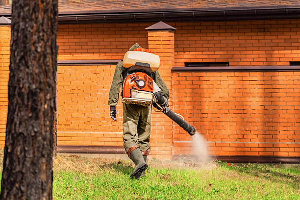 Top rated local Wasp Removal specialists in Somonauk, IL